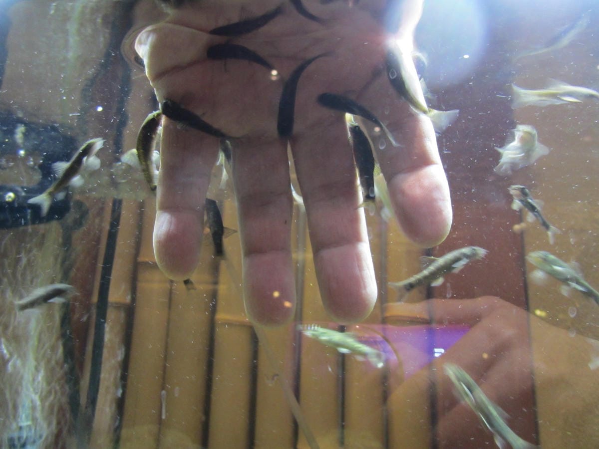 IMG_1149.JPG IMG_1149.JPG