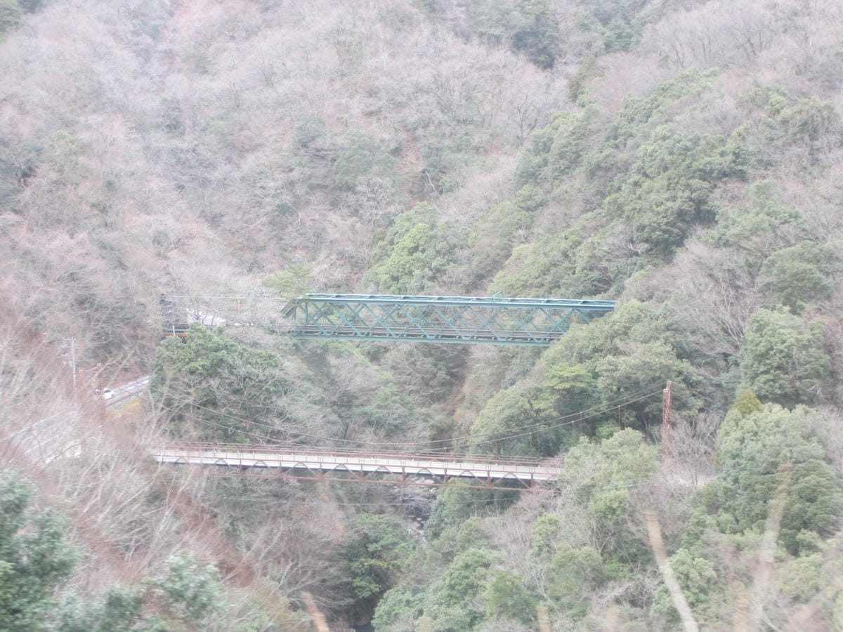 IMG_1137.JPG IMG_1137.JPG