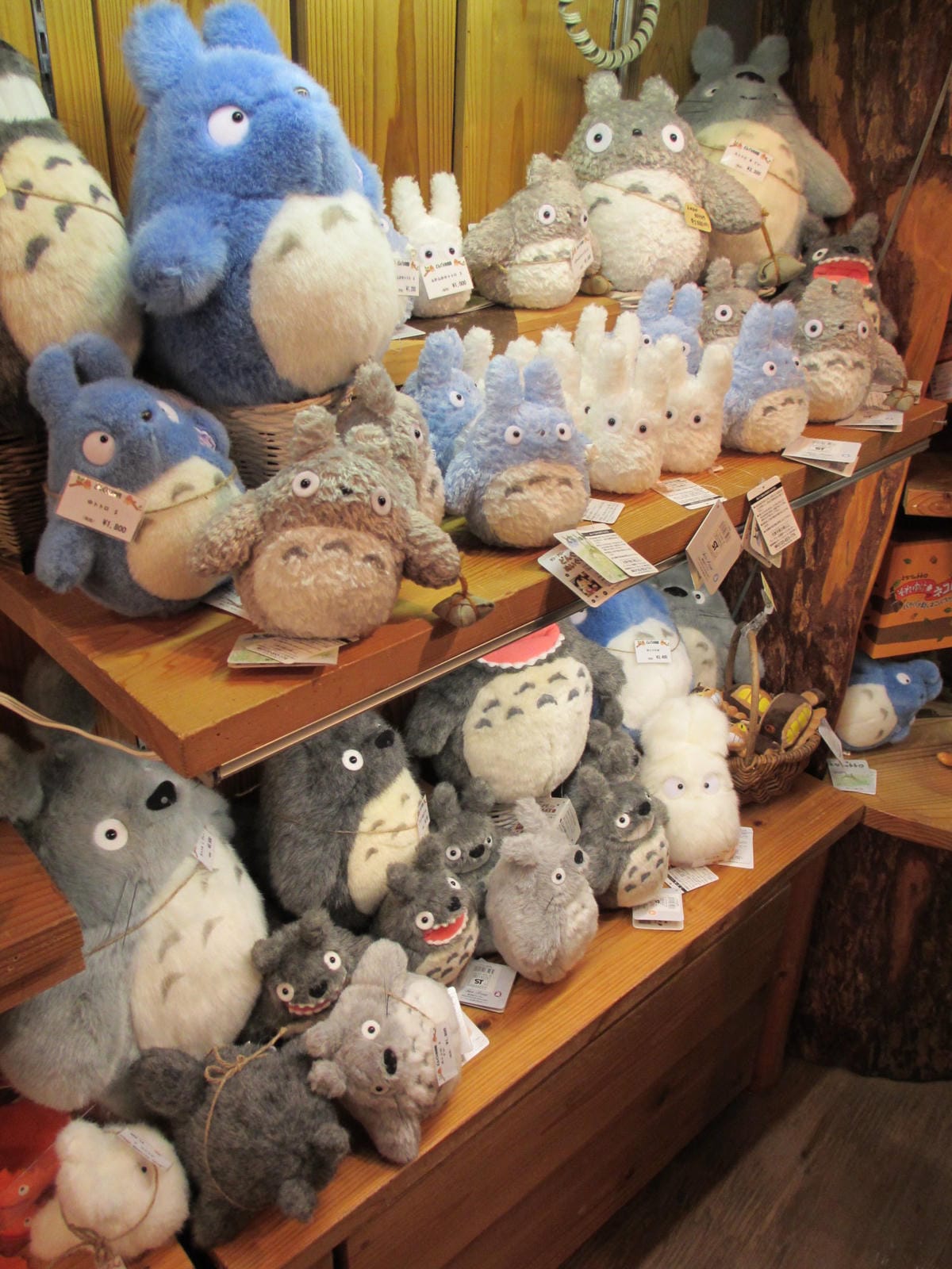 IMG_1274.JPG IMG_1274.JPG