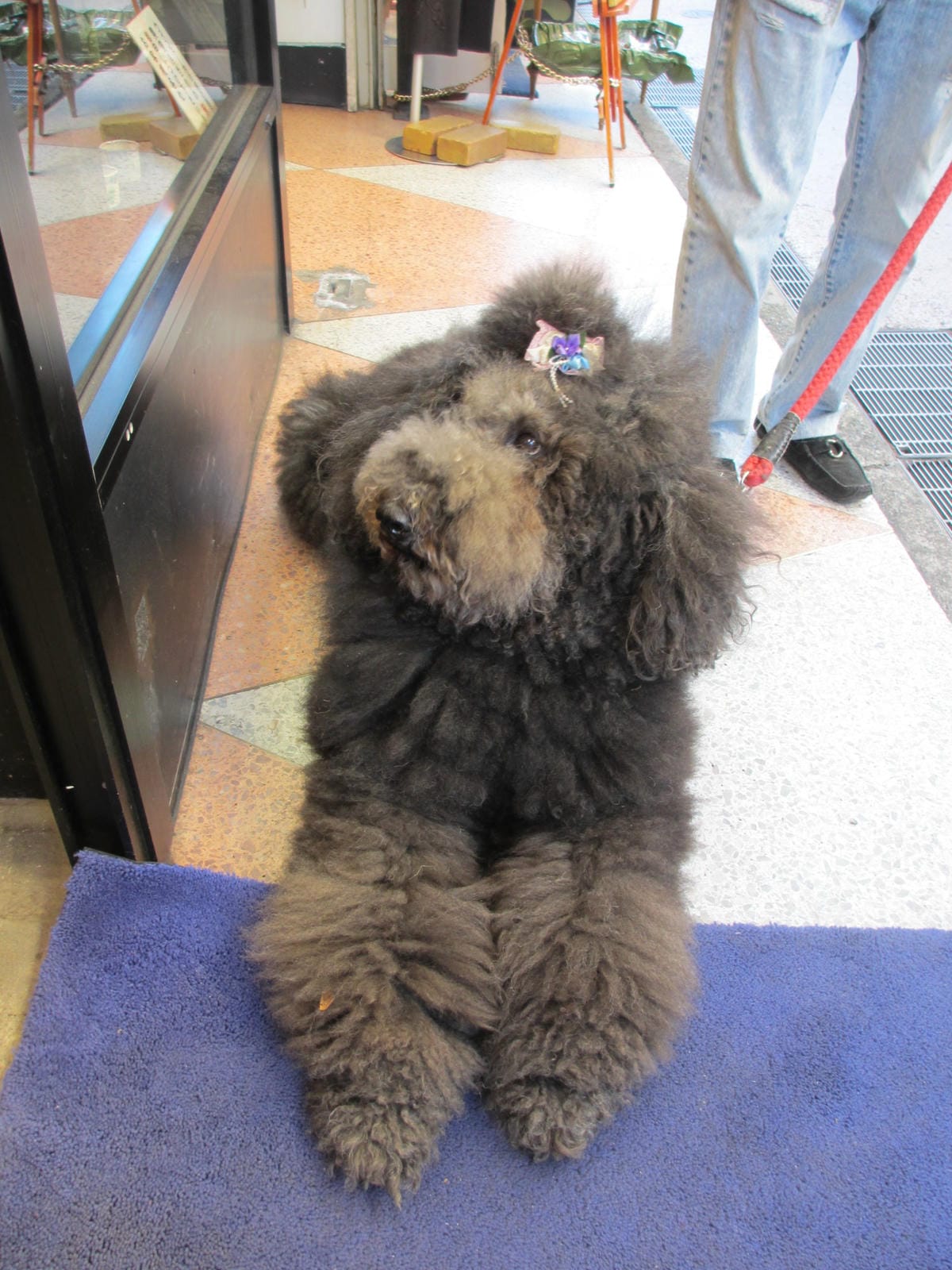 IMG_1370.JPG IMG_1370.JPG