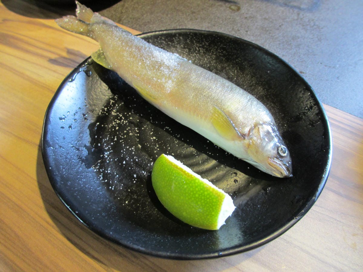 IMG_0064.JPG IMG_0064.JPG