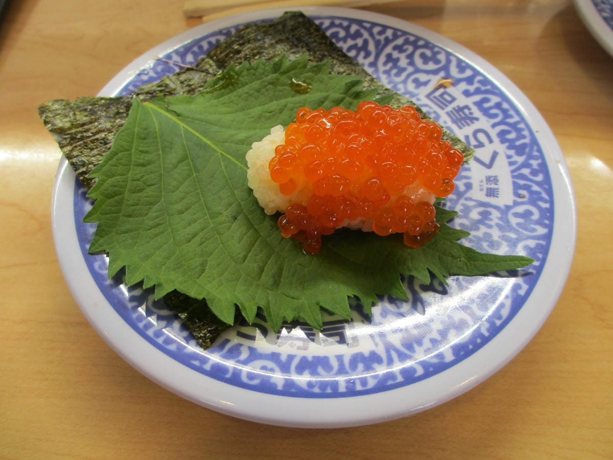 IMG_0427.JPG IMG_0427.JPG