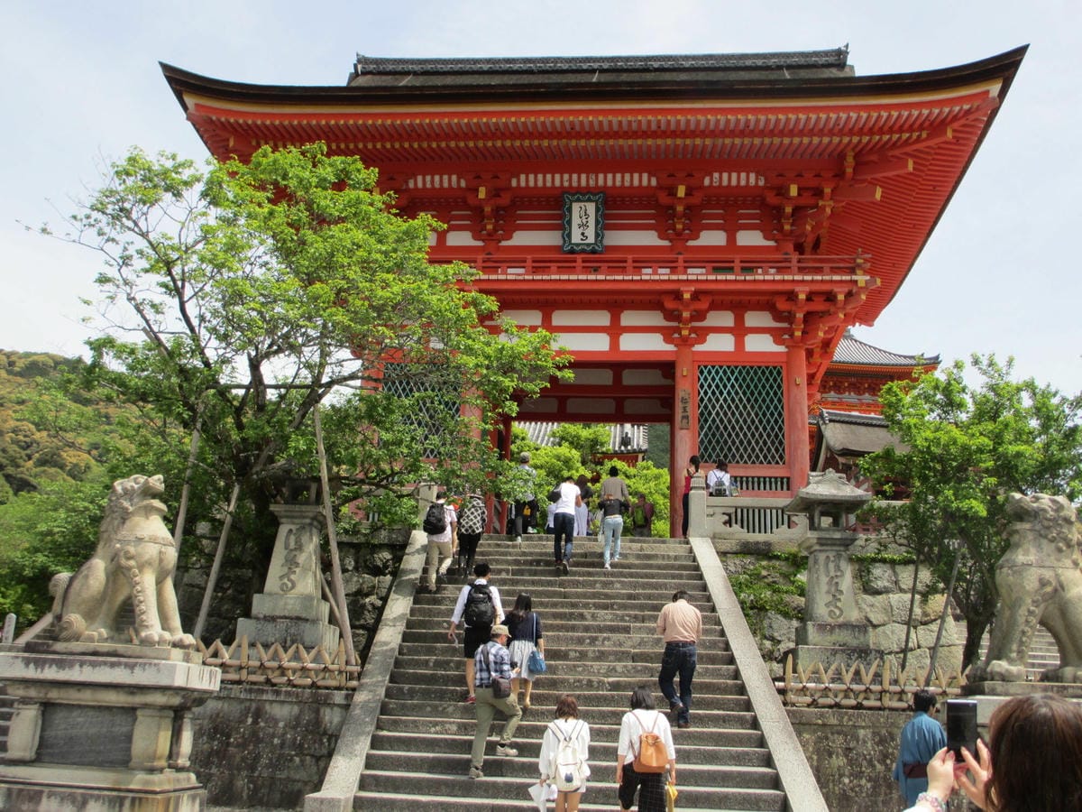 IMG_0497.JPG IMG_0497.JPG