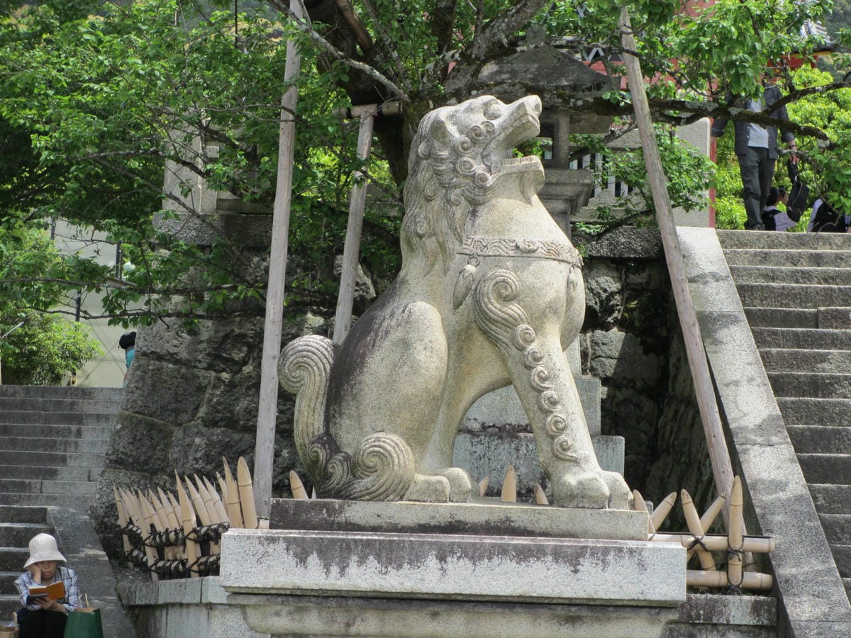 IMG_0498.JPG IMG_0498.JPG