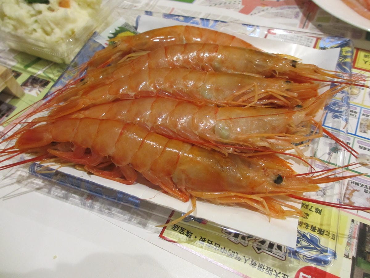 IMG_0627.JPG IMG_0627.JPG