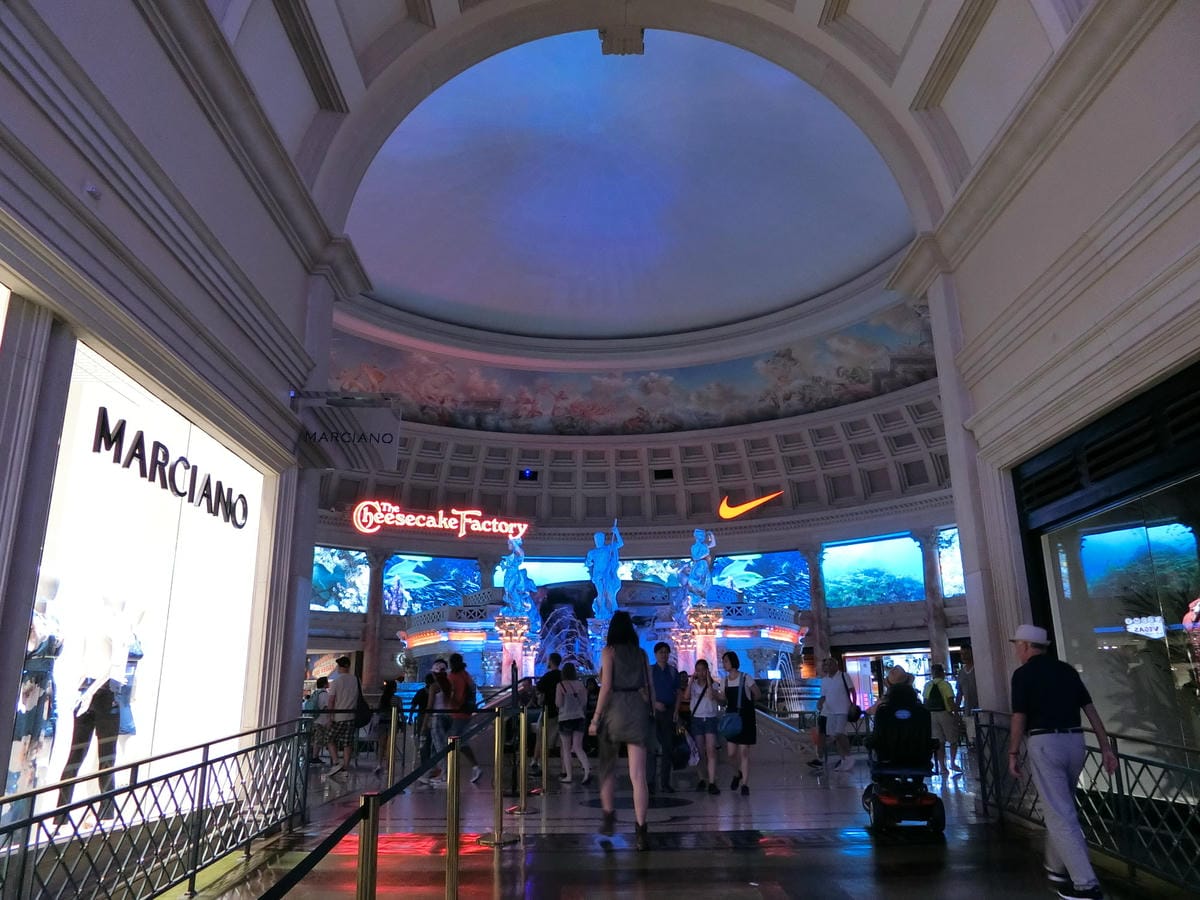 CIMG0675.JPG CIMG0675.JPG