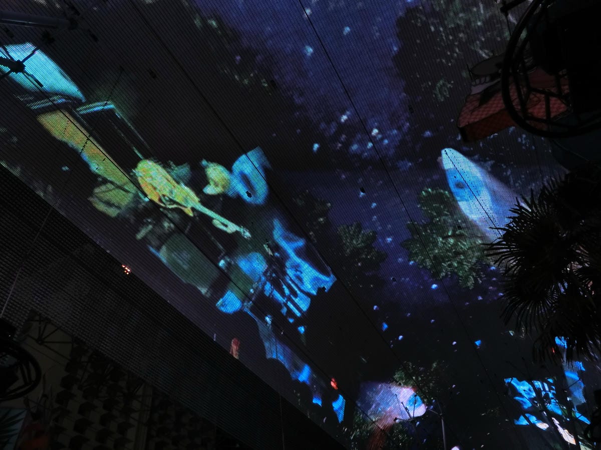 CIMG0731.JPG CIMG0731.JPG