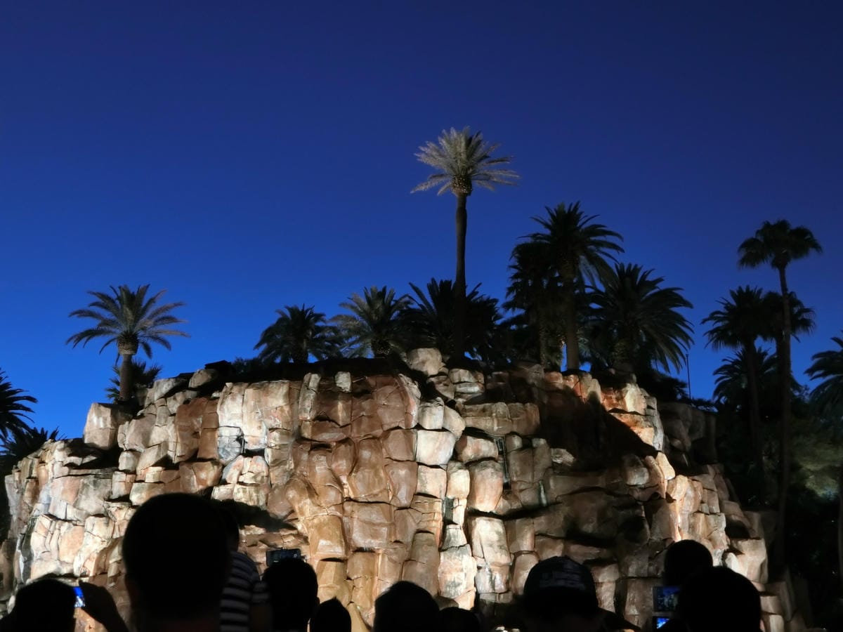 CIMG0718.JPG CIMG0718.JPG