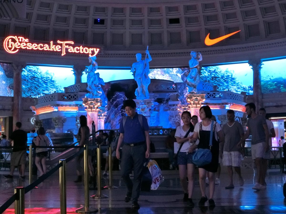 CIMG0676.JPG CIMG0676.JPG