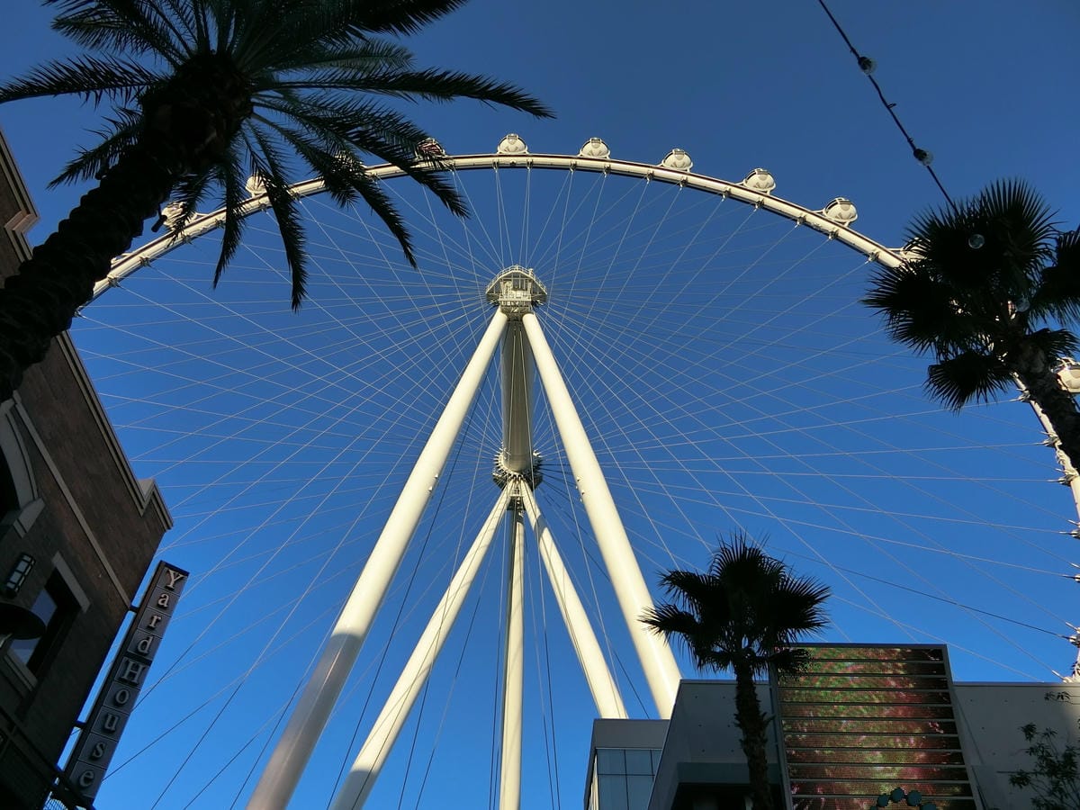 CIMG0827.JPG CIMG0827.JPG