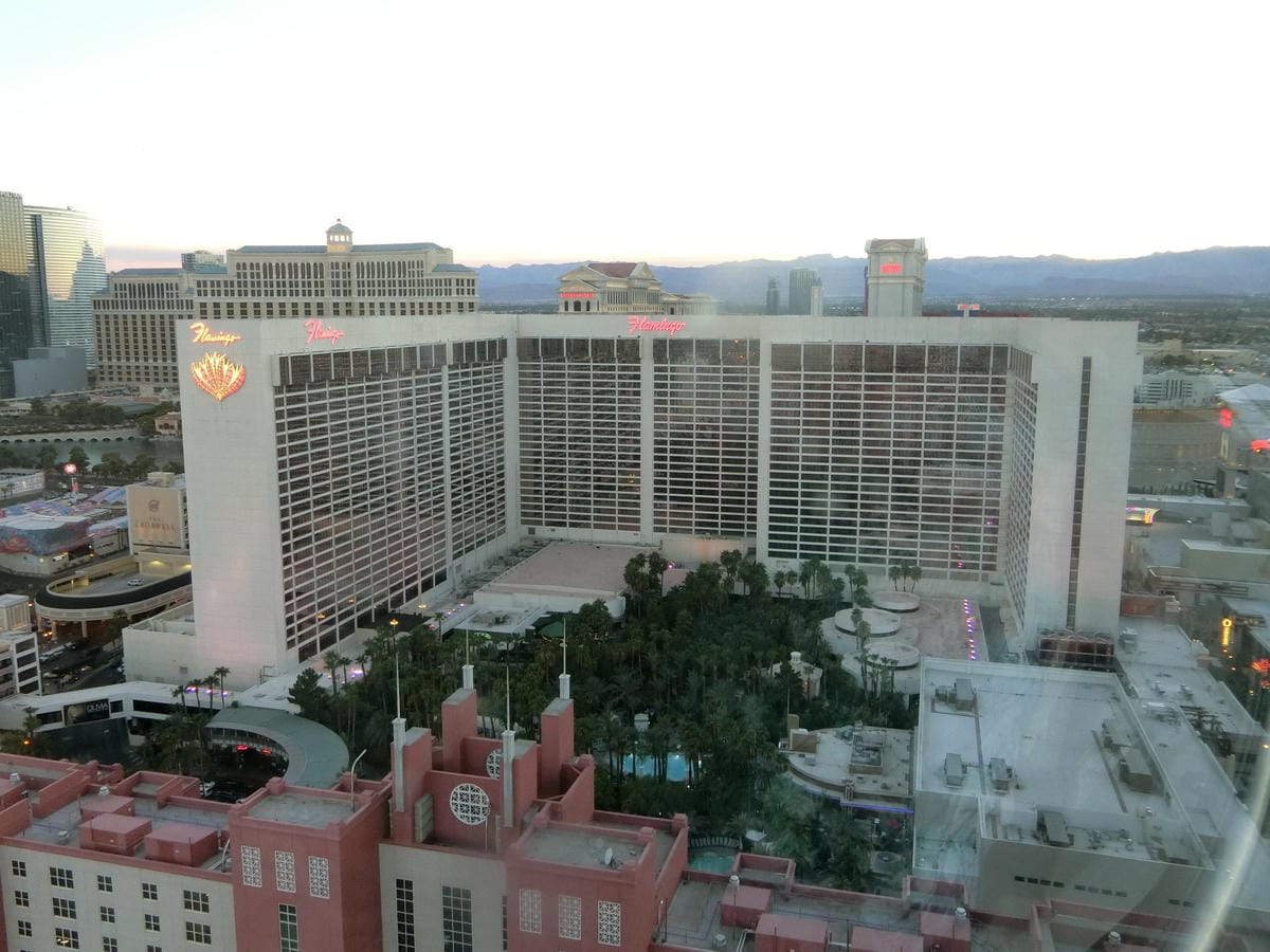 CIMG0864.JPG CIMG0864.JPG