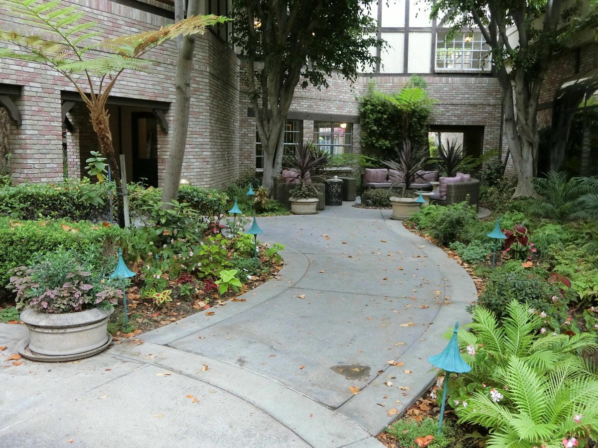 CIMG1048.JPG CIMG1048.JPG