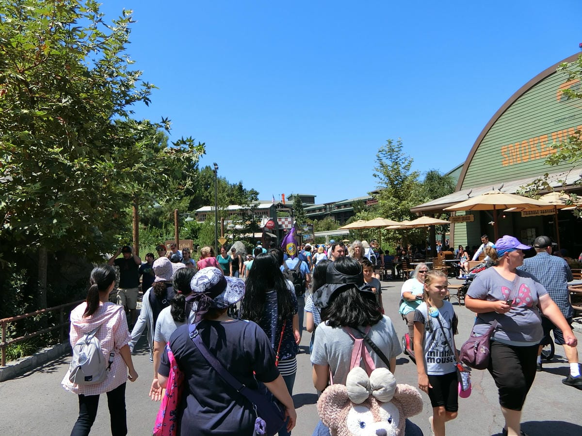 CIMG1148.JPG CIMG1148.JPG