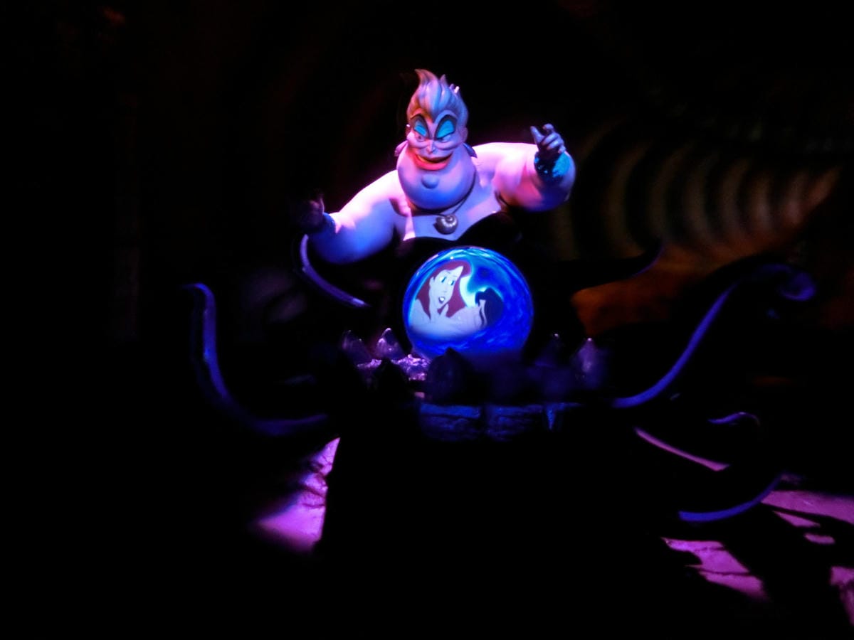 CIMG1115.JPG CIMG1115.JPG