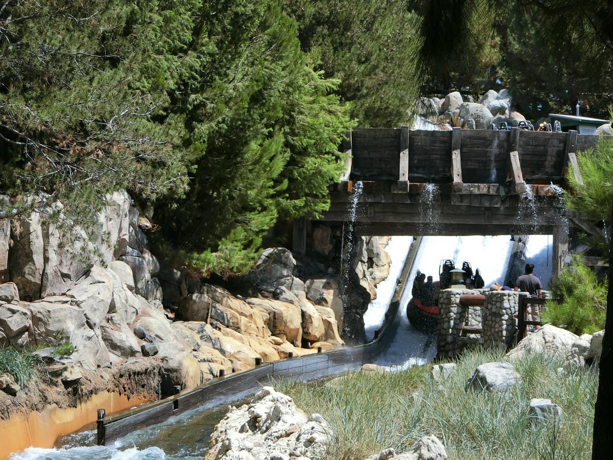 CIMG1158.JPG CIMG1158.JPG