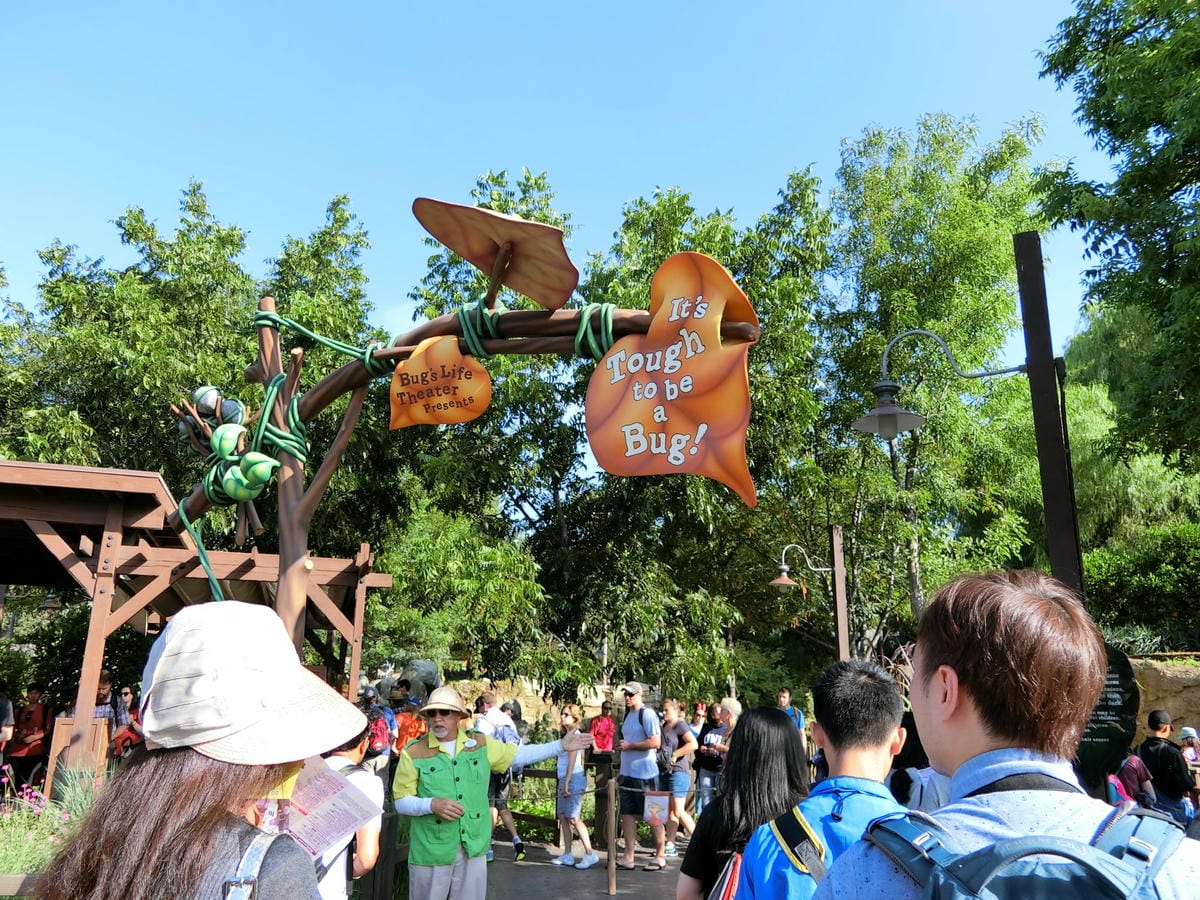 CIMG1081.JPG CIMG1081.JPG