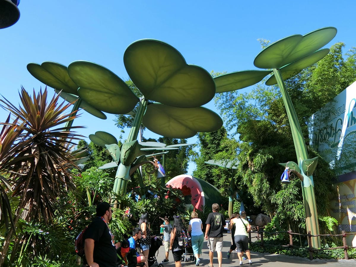 CIMG1098.JPG CIMG1098.JPG