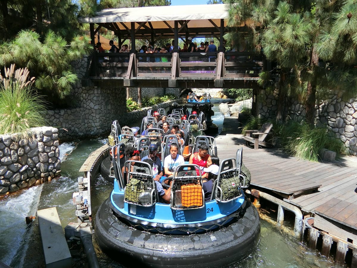 CIMG1155.JPG CIMG1155.JPG