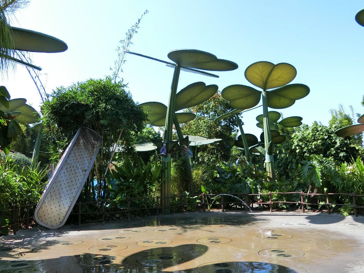 CIMG1097.JPG CIMG1097.JPG