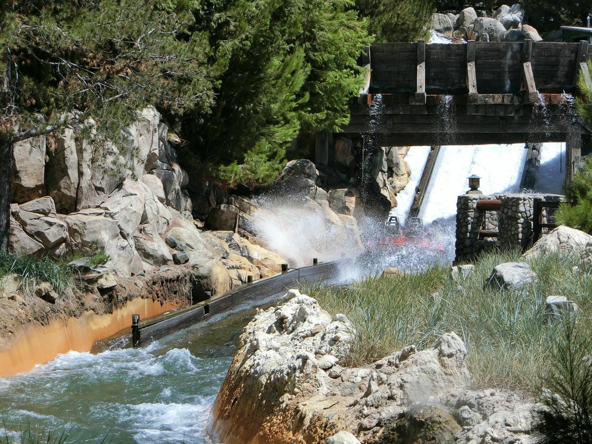 CIMG1163.JPG CIMG1163.JPG