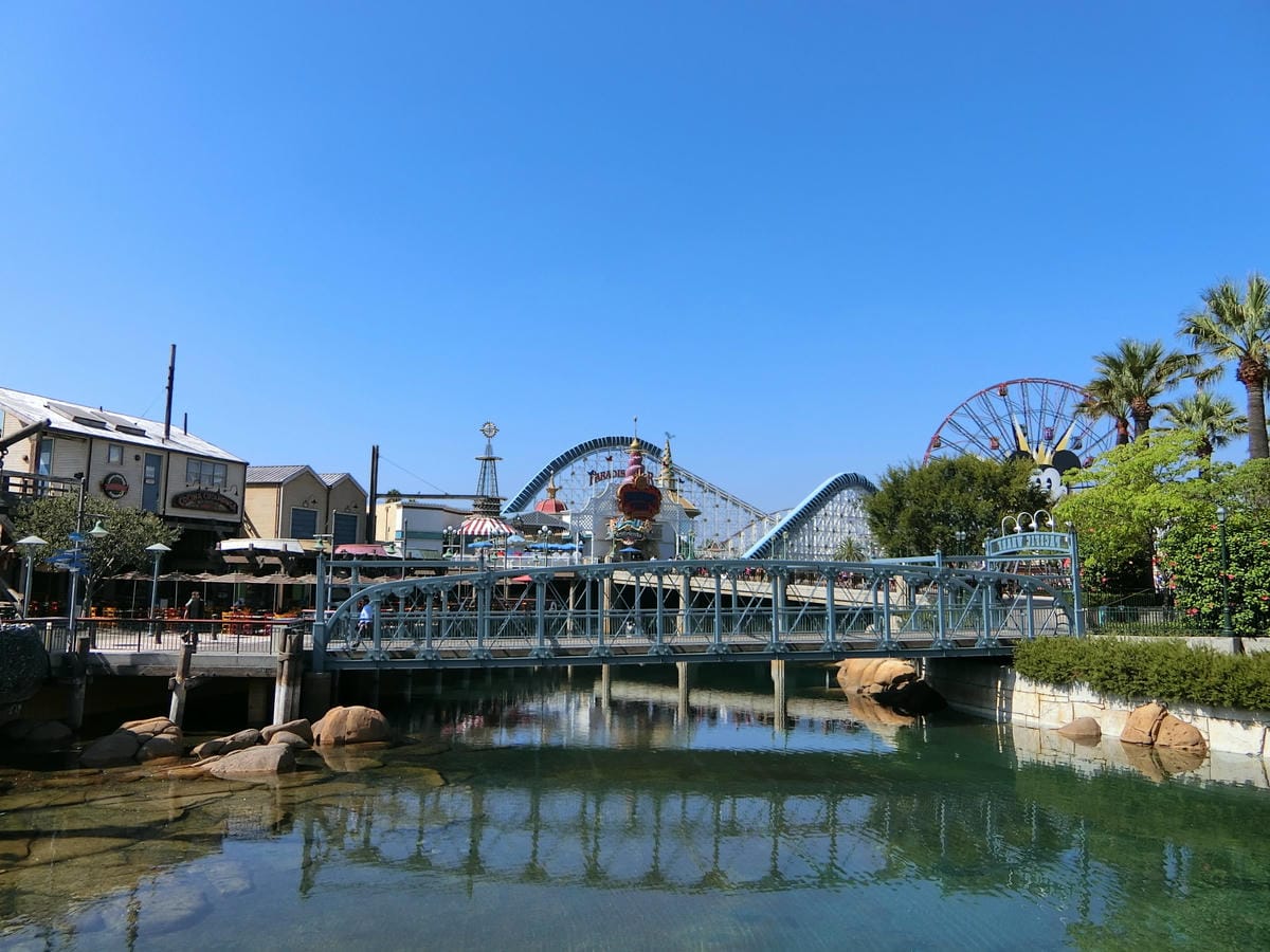 CIMG1100.JPG CIMG1100.JPG