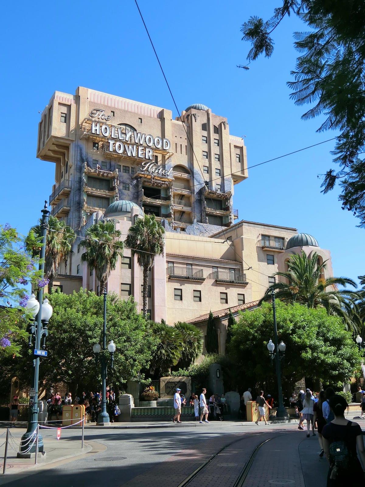 CIMG1211.JPG CIMG1211.JPG