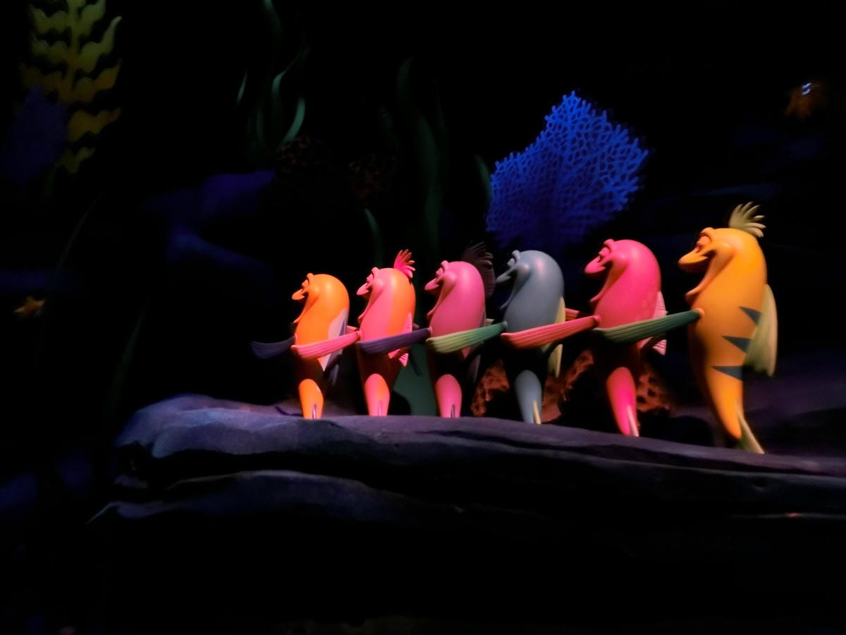 CIMG1111.JPG CIMG1111.JPG