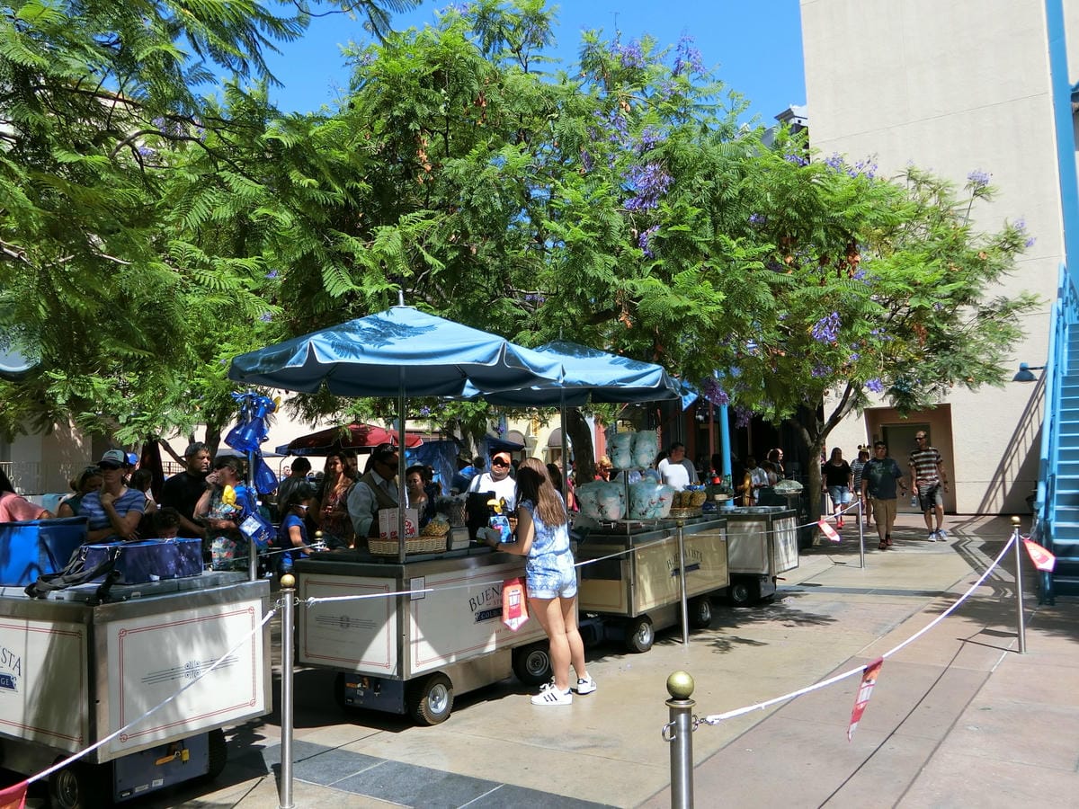 CIMG1142.JPG CIMG1142.JPG