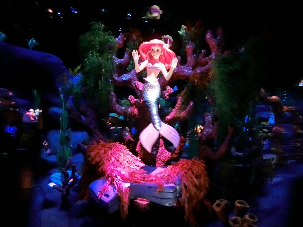 CIMG1112.JPG CIMG1112.JPG