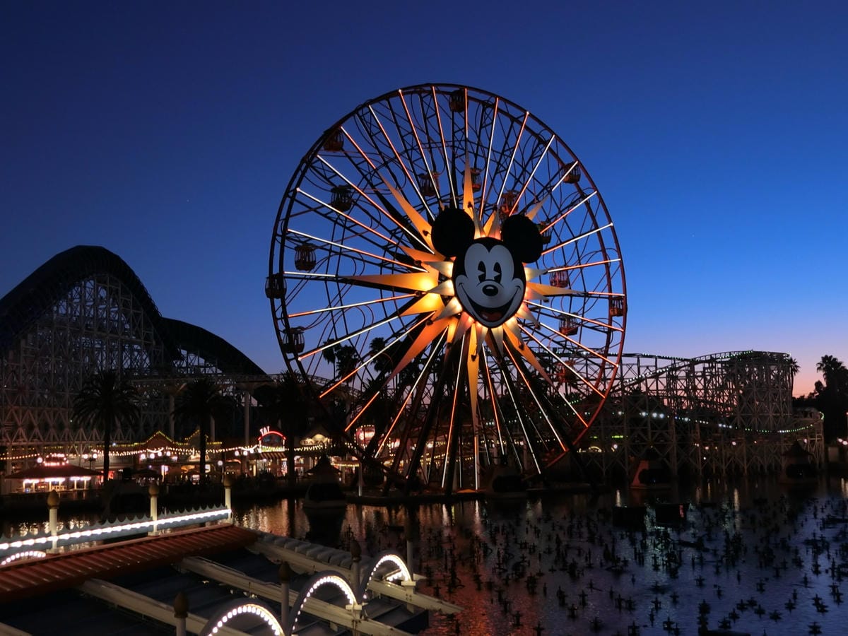 CIMG1302.JPG CIMG1302.JPG