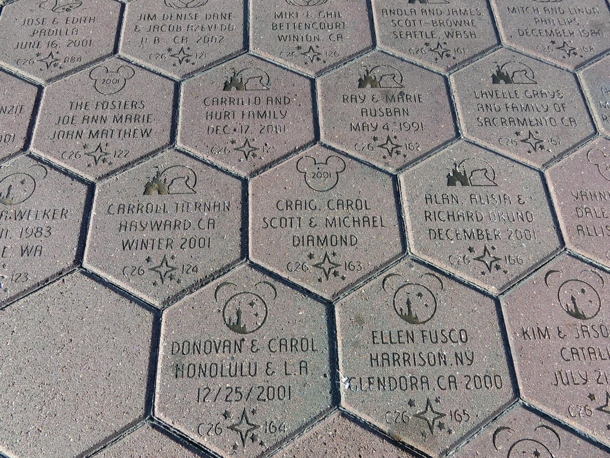 CIMG1274.JPG CIMG1274.JPG