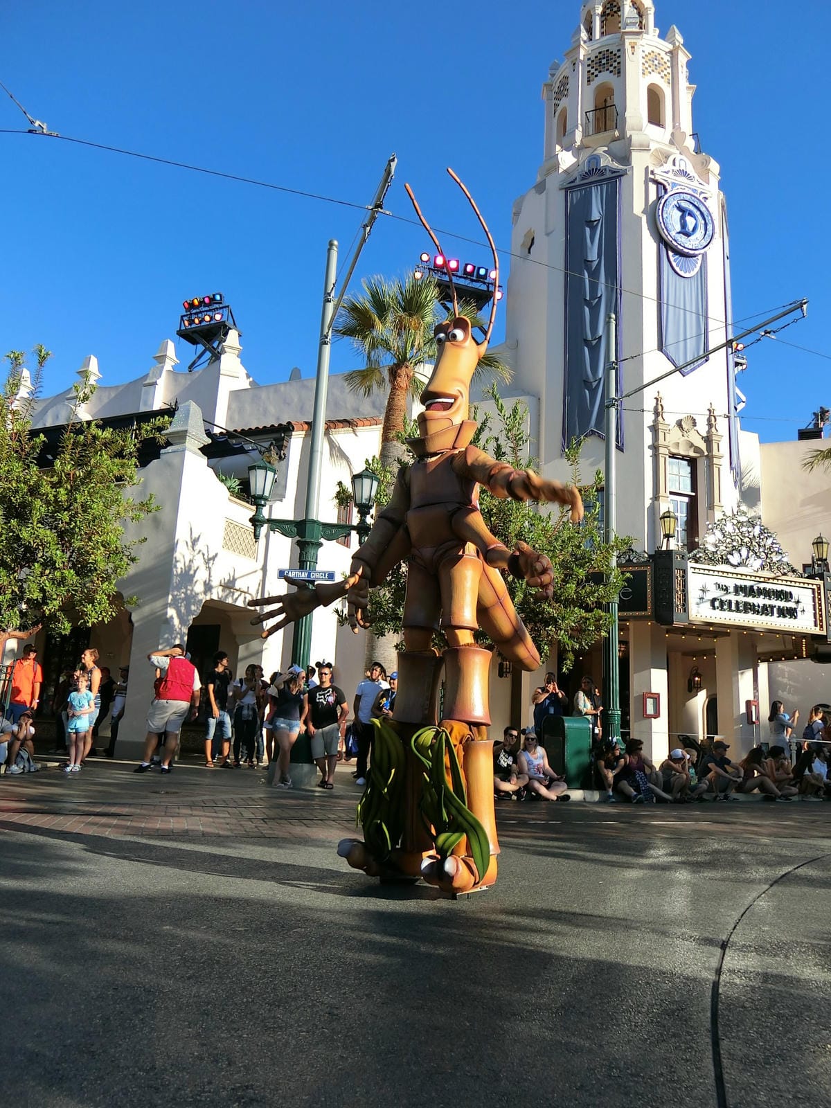 CIMG1261.JPG CIMG1261.JPG