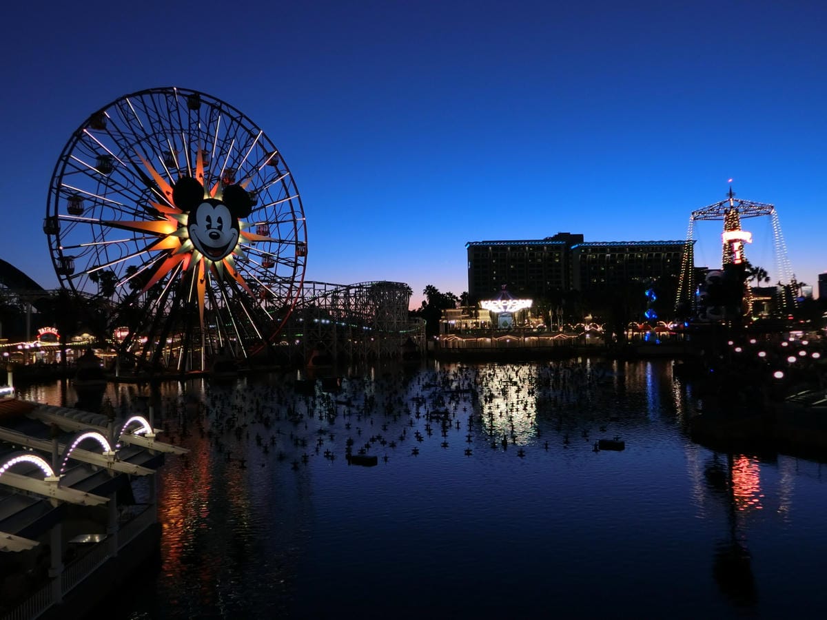 CIMG1301.JPG CIMG1301.JPG