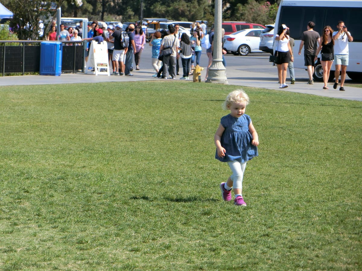 CIMG1580.JPG CIMG1580.JPG