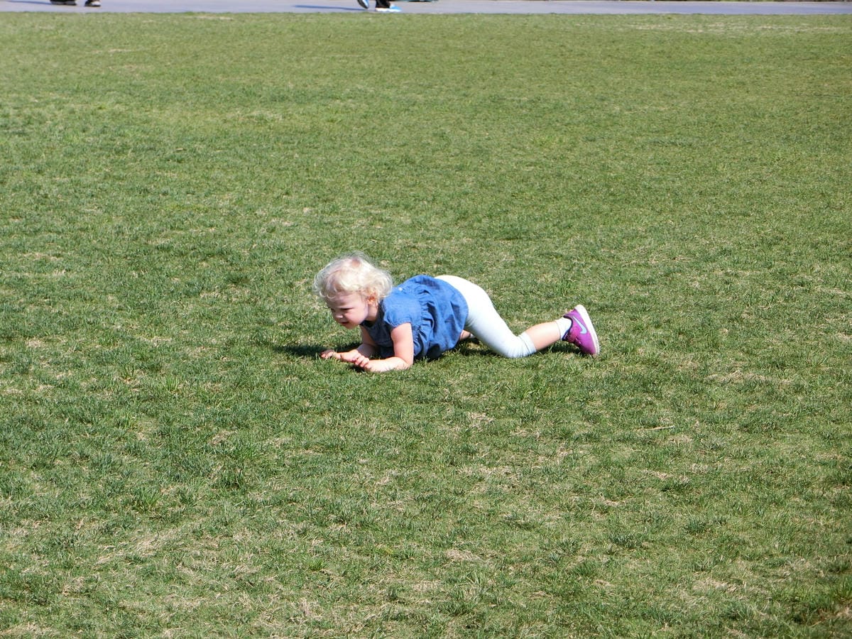 CIMG1582.JPG CIMG1582.JPG