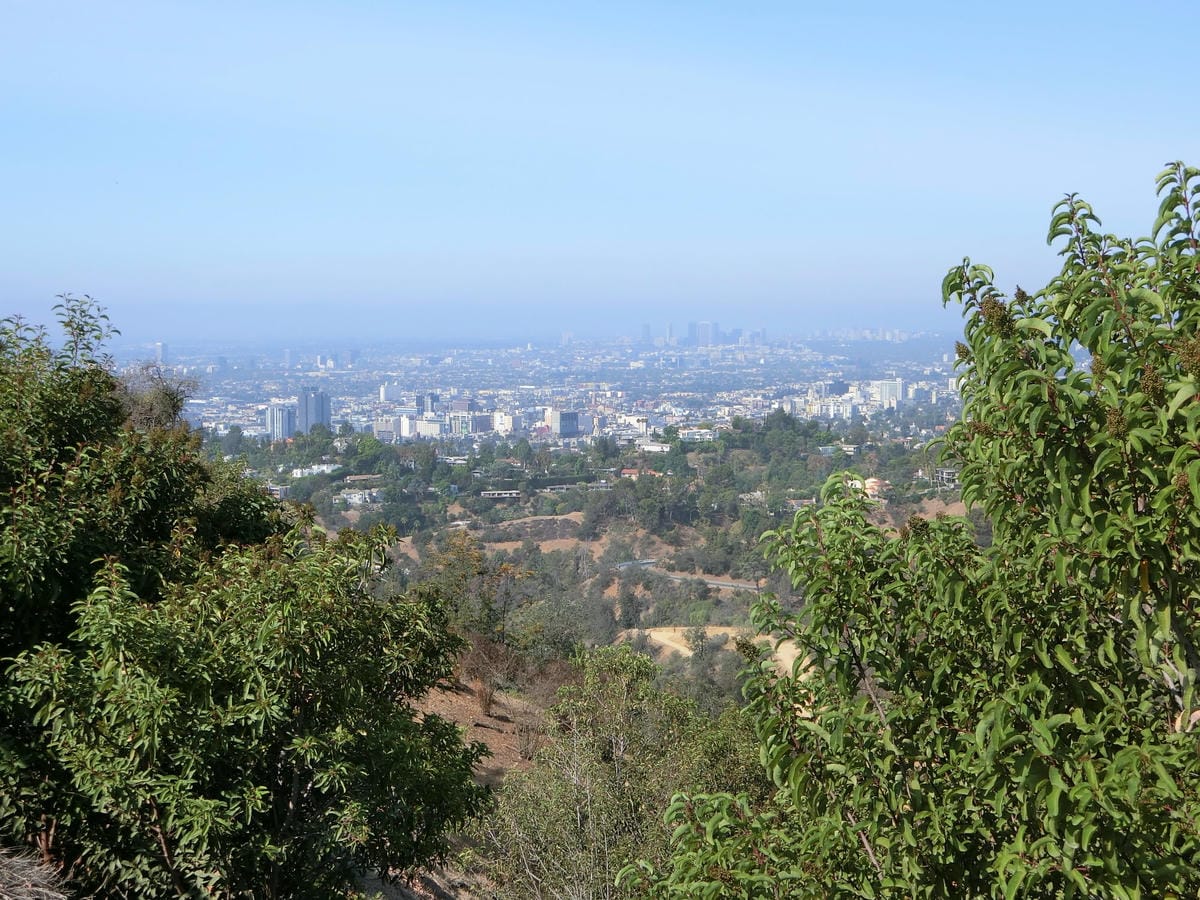 CIMG1538.JPG CIMG1538.JPG