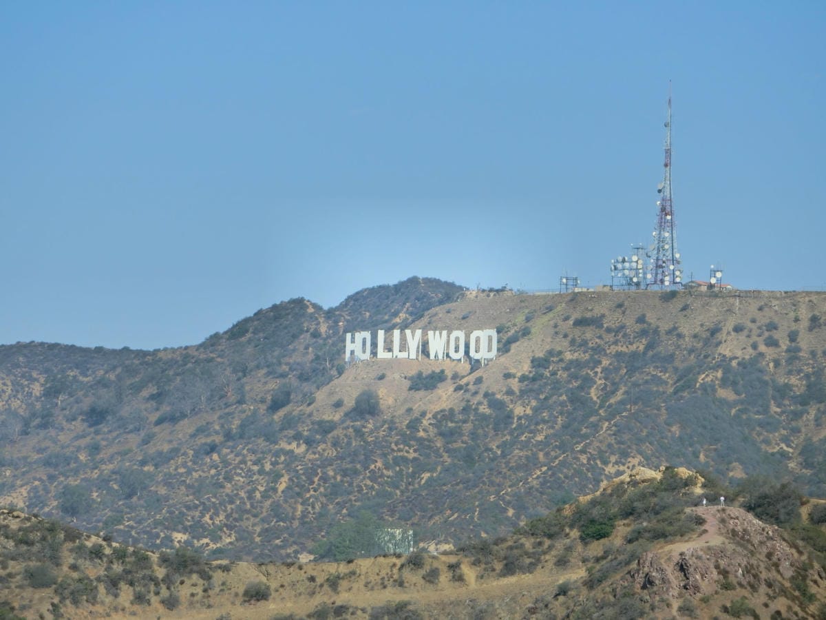 CIMG1537.JPG CIMG1537.JPG