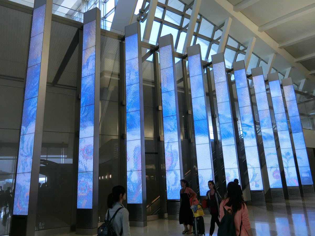 CIMG1674.JPG CIMG1674.JPG