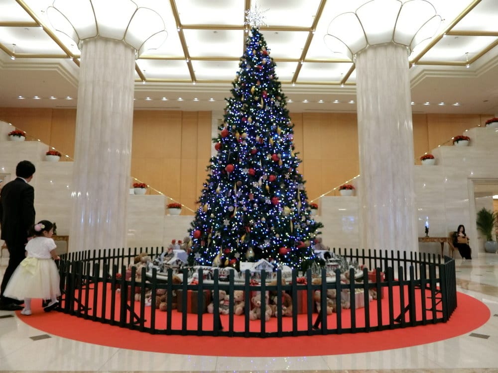 CIMG2429.JPG CIMG2429.JPG