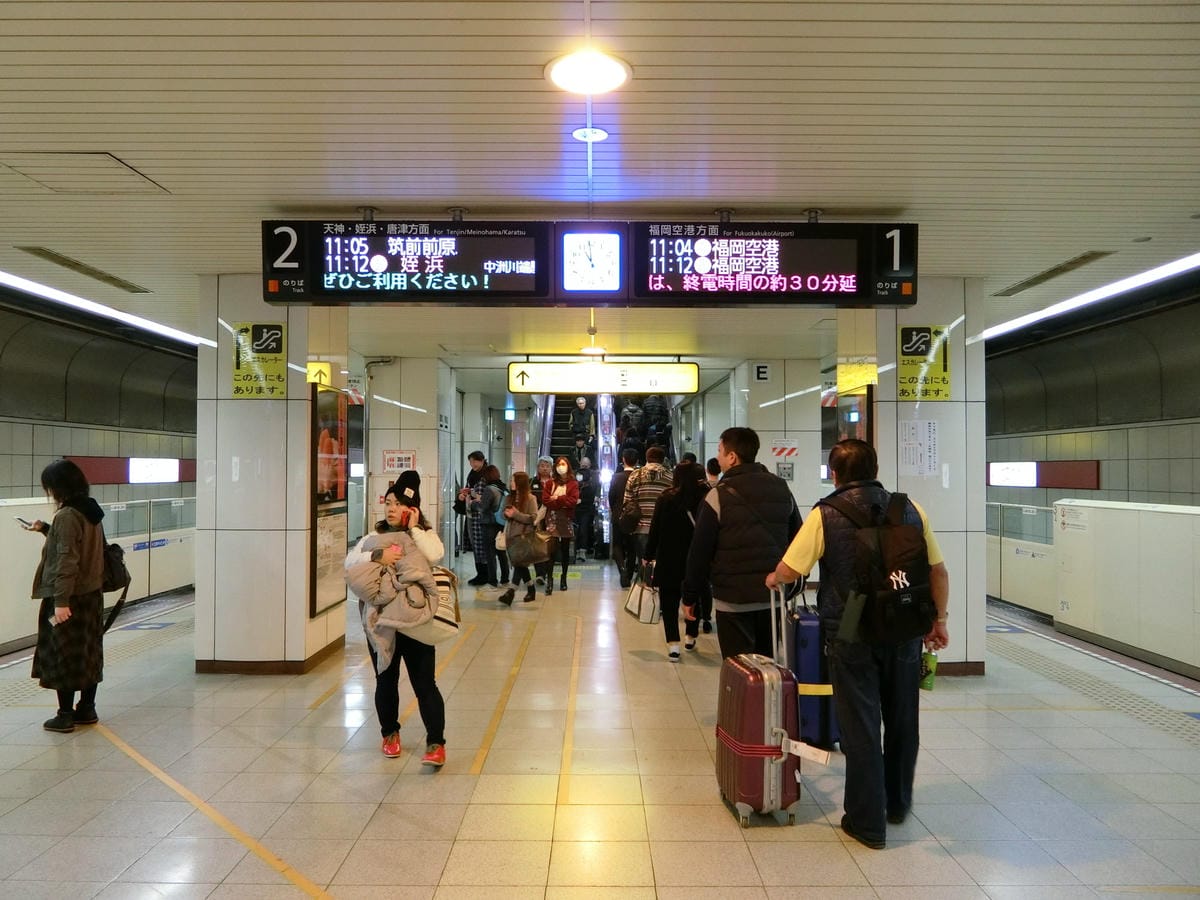 CIMG2417.JPG CIMG2417.JPG