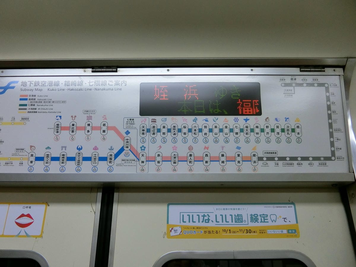 CIMG2411.JPG CIMG2411.JPG