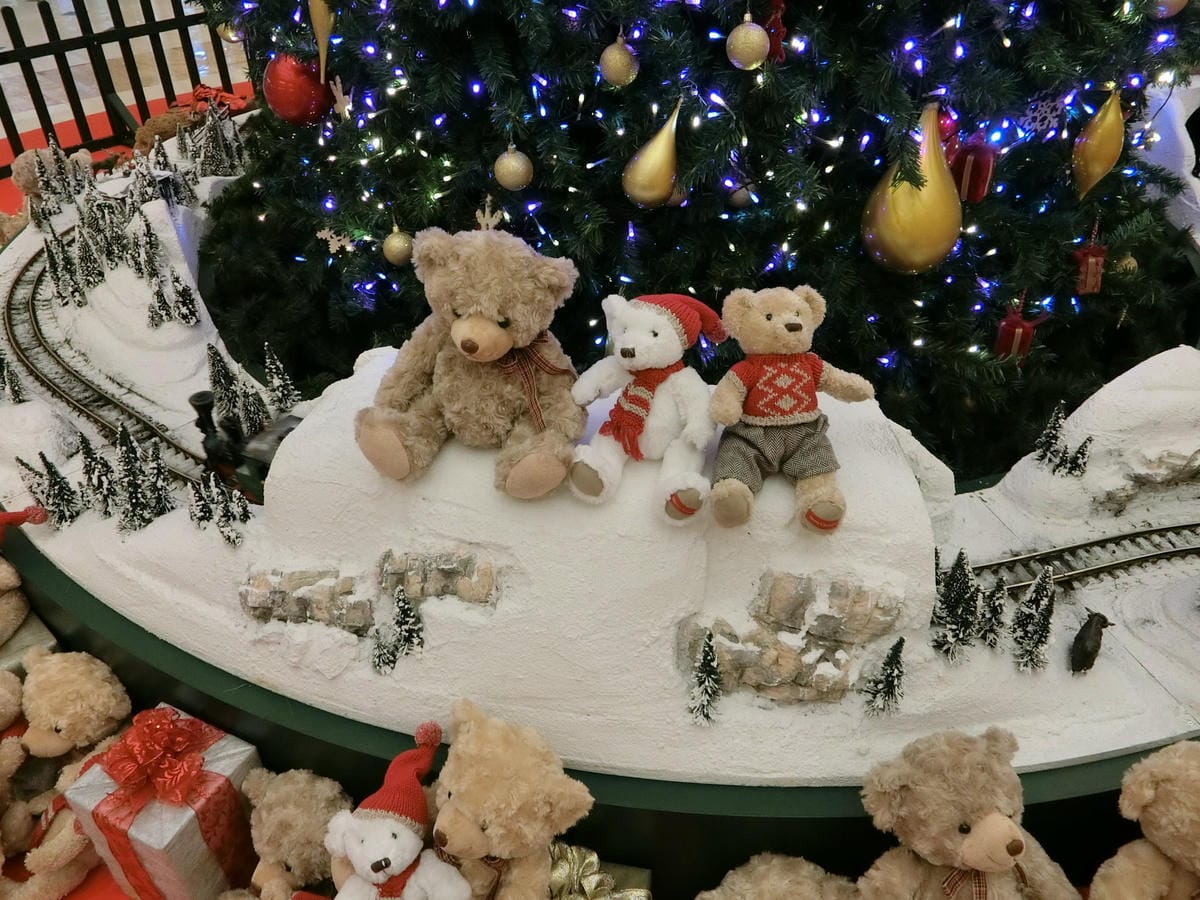 CIMG2777.JPG CIMG2777.JPG