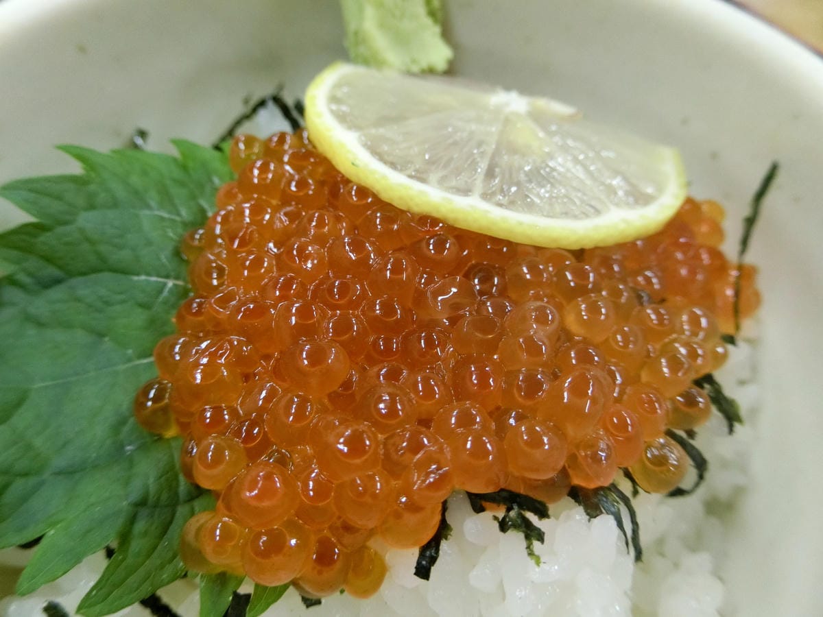 CIMG2455.JPG CIMG2455.JPG