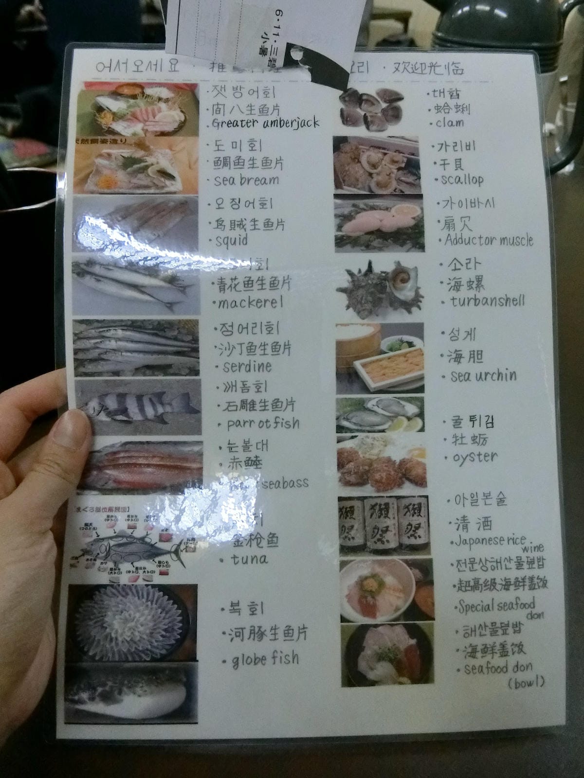 CIMG2446.JPG CIMG2446.JPG