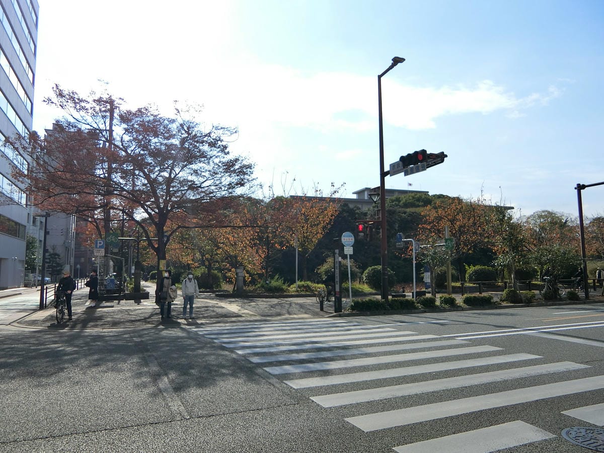 CIMG2438.JPG CIMG2438.JPG