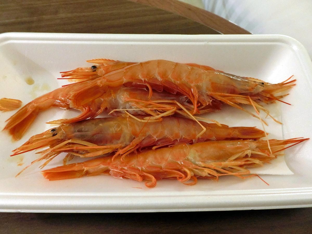 CIMG2548.JPG CIMG2548.JPG