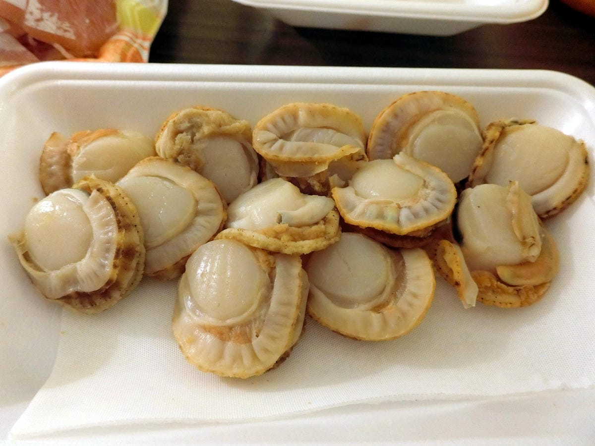 CIMG2543.JPG CIMG2543.JPG