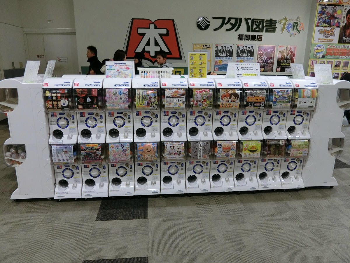 CIMG2686.JPG CIMG2686.JPG