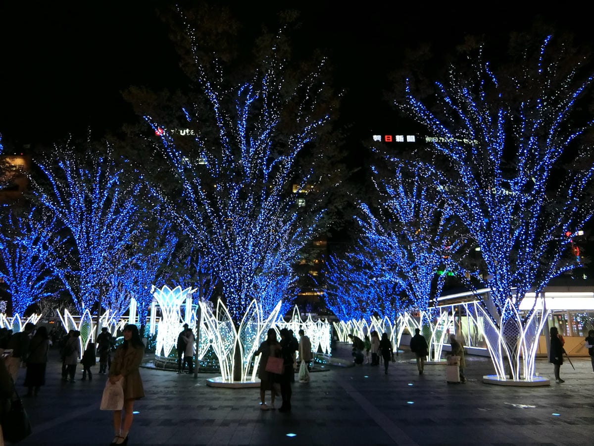 CIMG2734.JPG CIMG2734.JPG