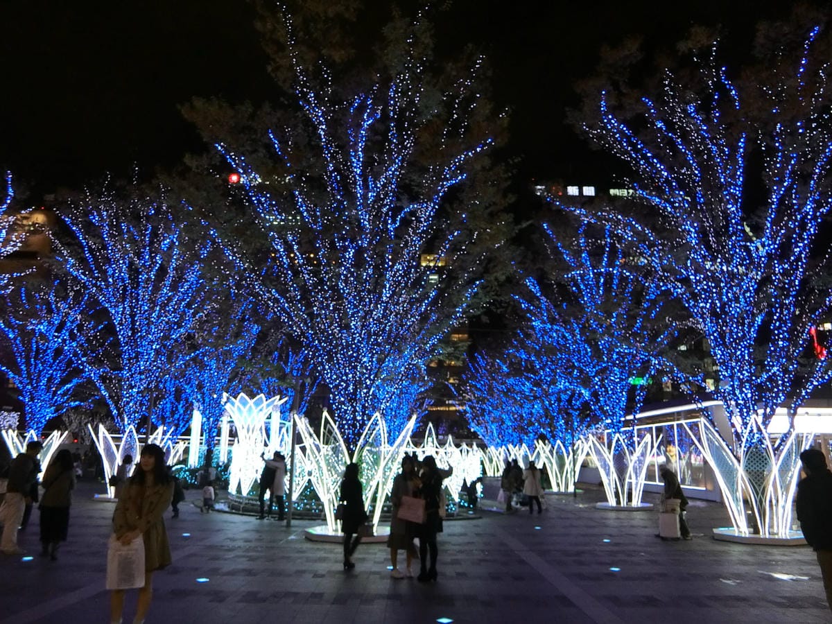 CIMG2733.JPG CIMG2733.JPG